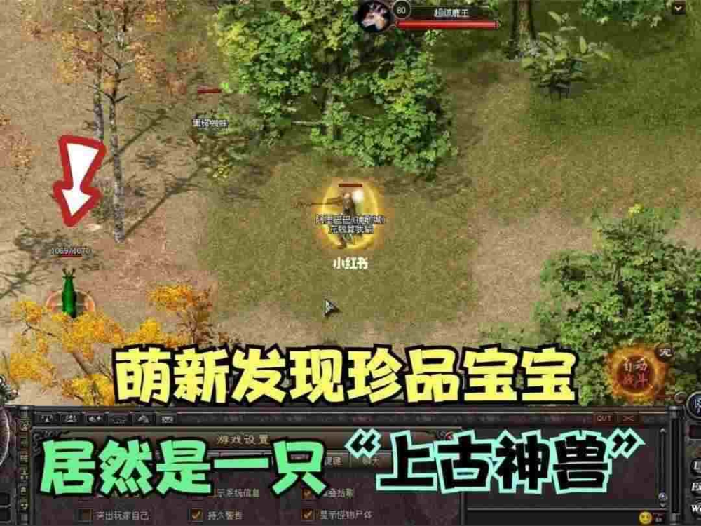 轻变中变带地钉之热血传奇石槽矿山在哪里